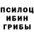 Галлюциногенные грибы GOLDEN TEACHER Michael Frizzell