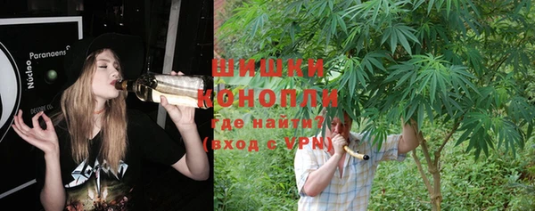 ПСИЛОЦИБИНОВЫЕ ГРИБЫ Армянск