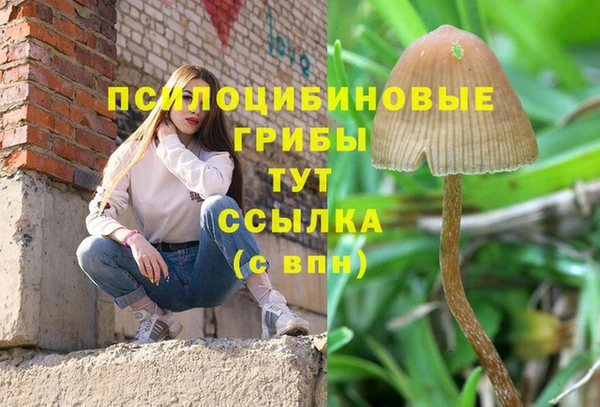 jwh Алзамай