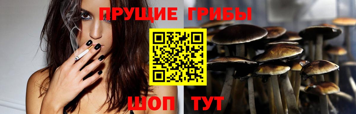 Галлюциногенные грибы Cubensis Светлоград